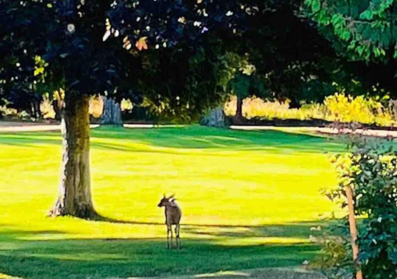 Oceanside Manor - Golf Course View Bed & Breakfast Qualicum Beach Exterior photo