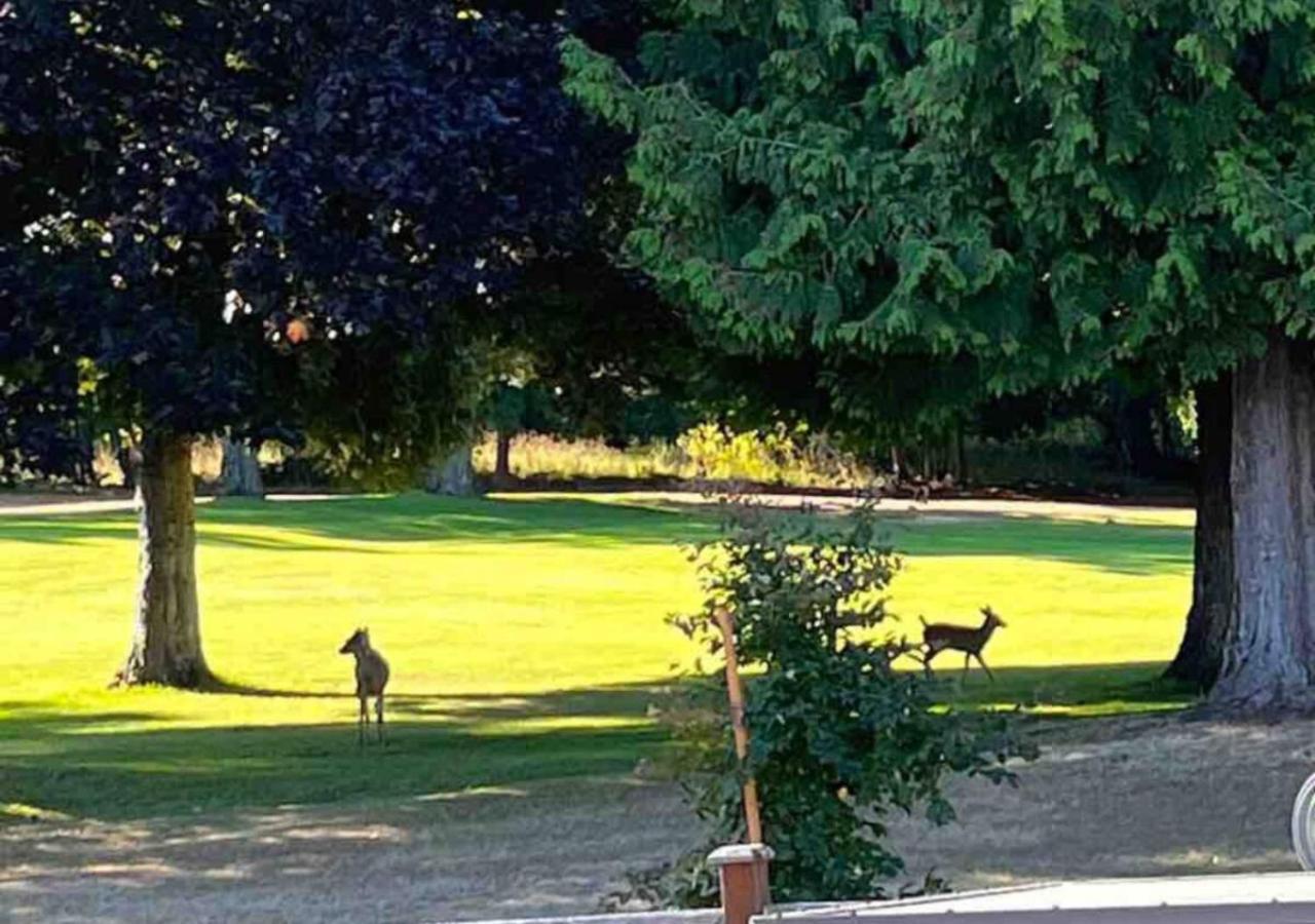 Oceanside Manor - Golf Course View Bed & Breakfast Qualicum Beach Exterior photo